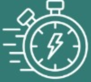 Rapid, Expert Services